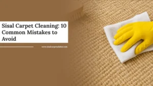 Sisal carpet cleaning tips showing manual stain removal.
